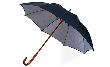 umbrella companies